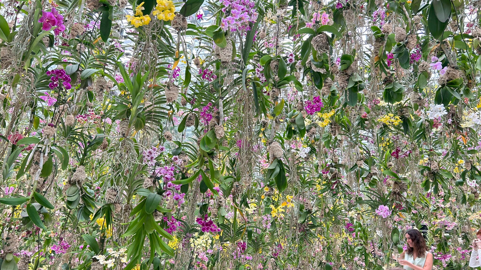 01-Tokyo (044) TeamLab Planets.jpg